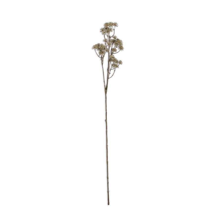 Aralia Stem 33"
