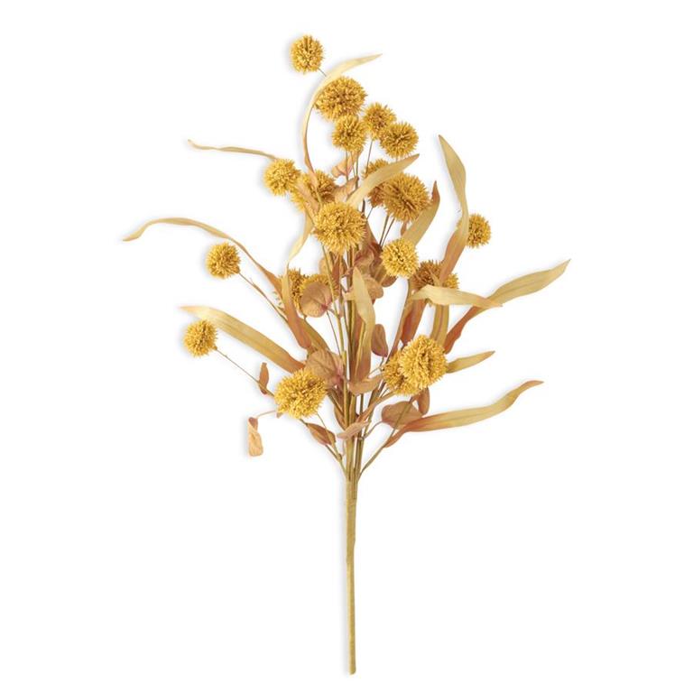 Yellow Sycamore Fruit Ball Bush w/Foliage
