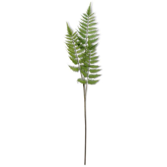 3 Fern Branch