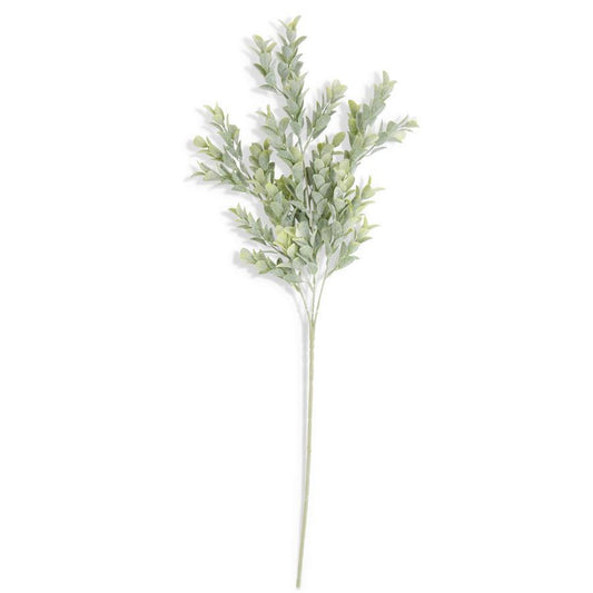 POWDERED BOXWOOD STEM 26"