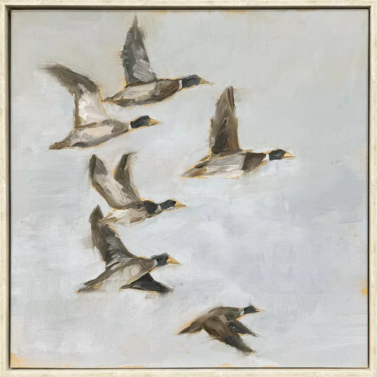 Mallard Flight